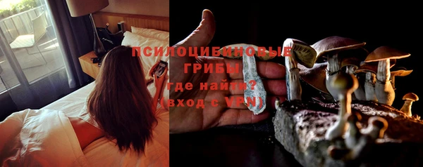стаф Балабаново