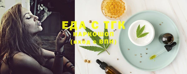 индика Новодвинск