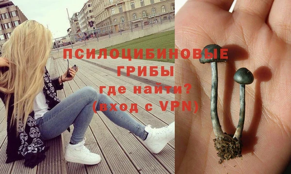 прущая мука Баксан