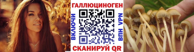 Купить где  Миллерово  Галлюциногенные грибы ЛСД 